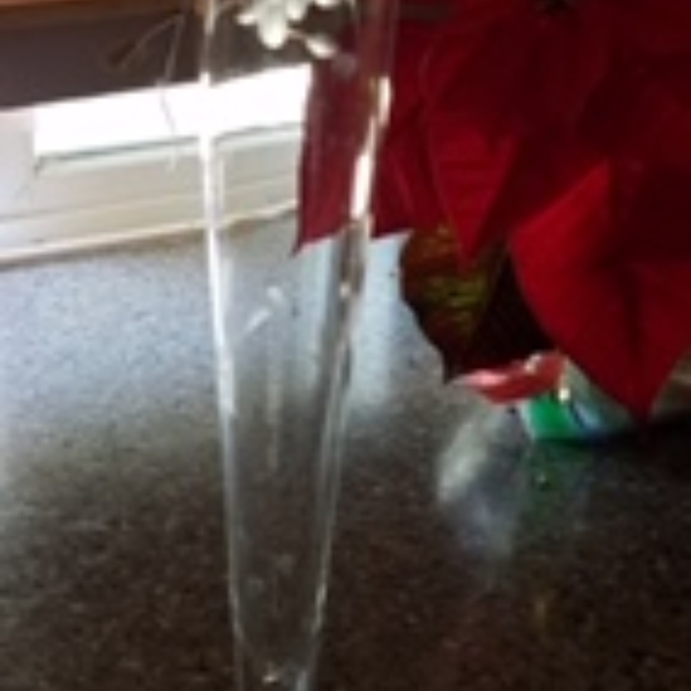 Princess House Vase